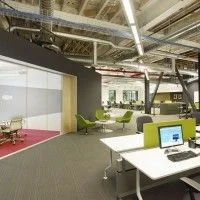 Pest Control - Office Buildings