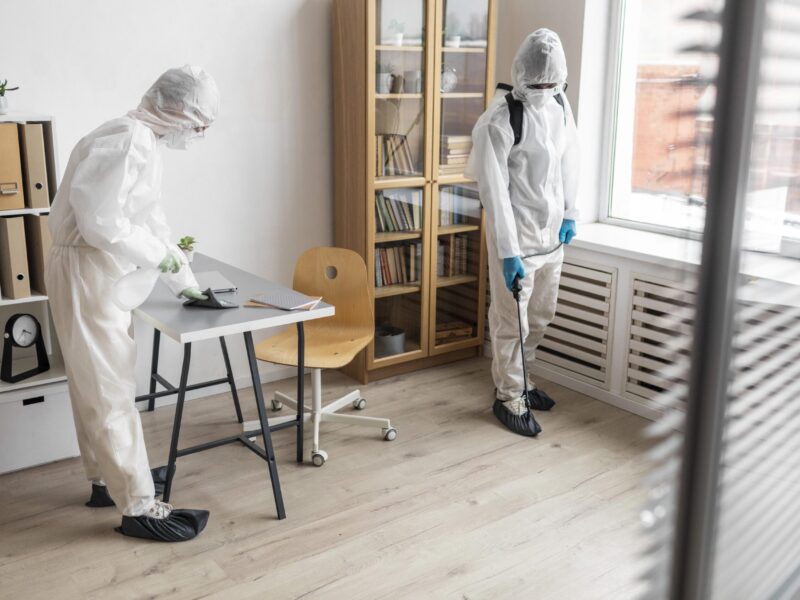 termite -contro-in-office