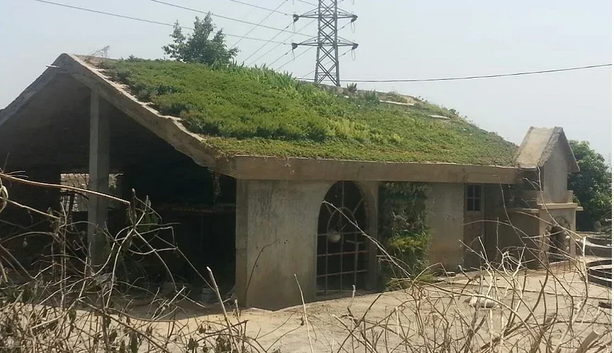 terrace123