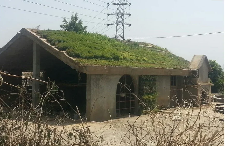 terrace123