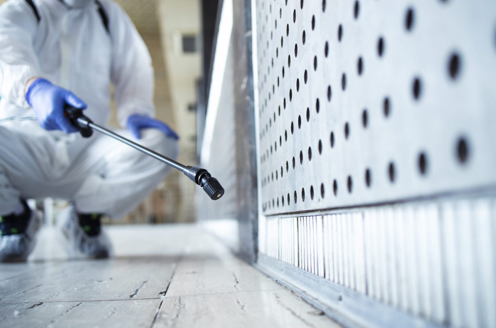 anti termite treatment methods